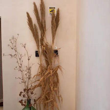 San Vito Casa vacanze